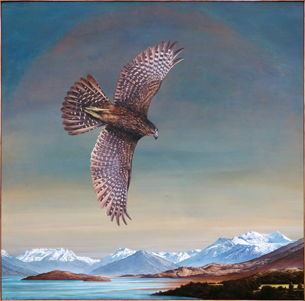 'Wakatipu falcon'