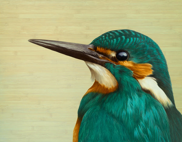 'Kingfisher'